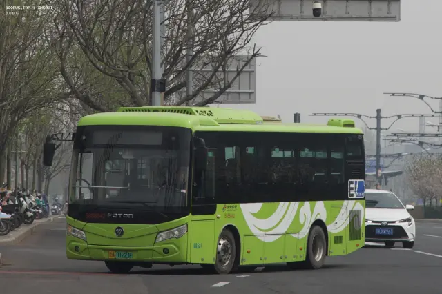 800BUS