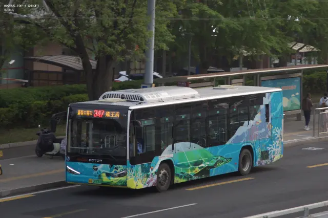 800BUS