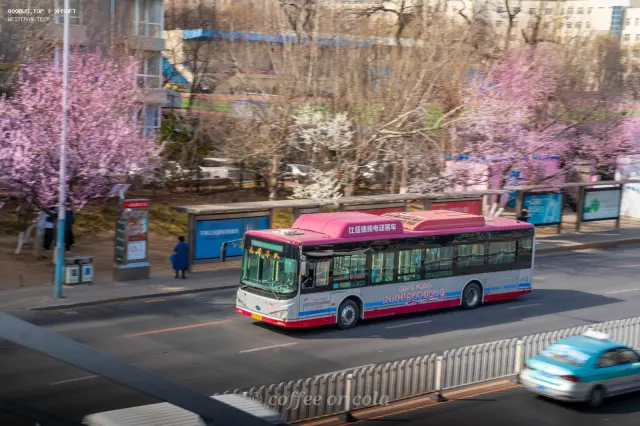 辽B·M2932（2-2469）