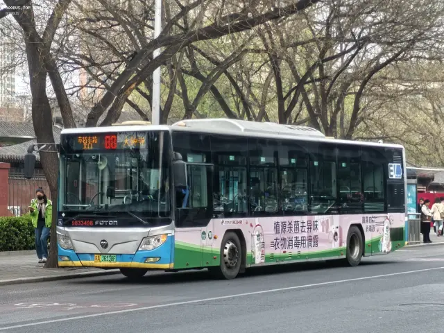 800BUS