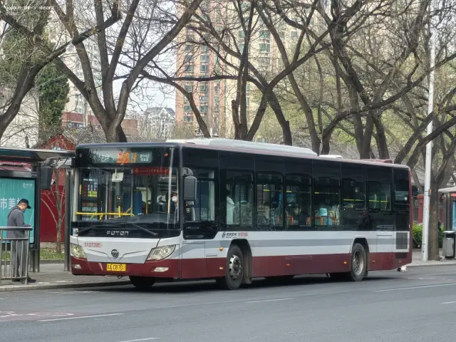 800BUS