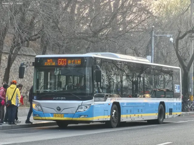京A CX253