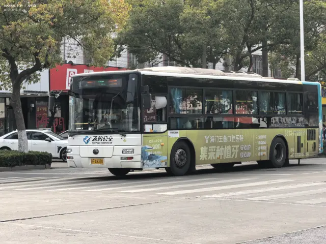 800BUS