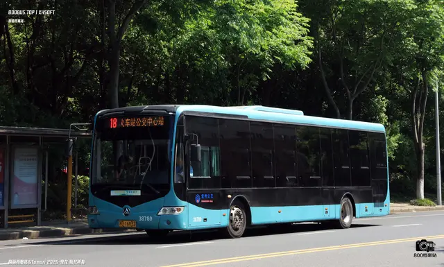 800BUS