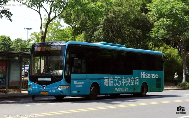 800BUS