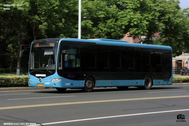800BUS