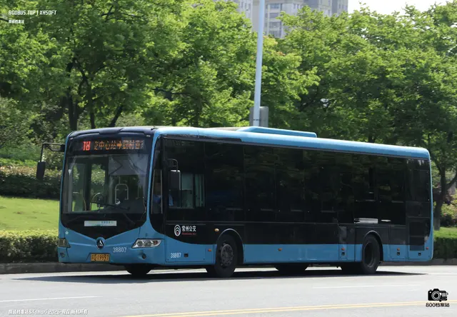 800BUS