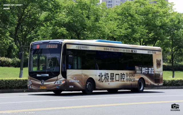 800BUS