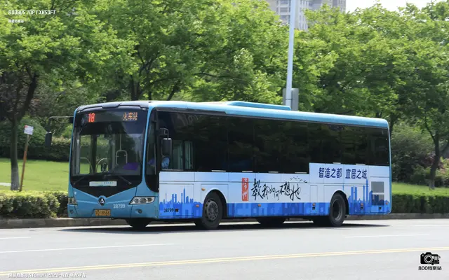 800BUS