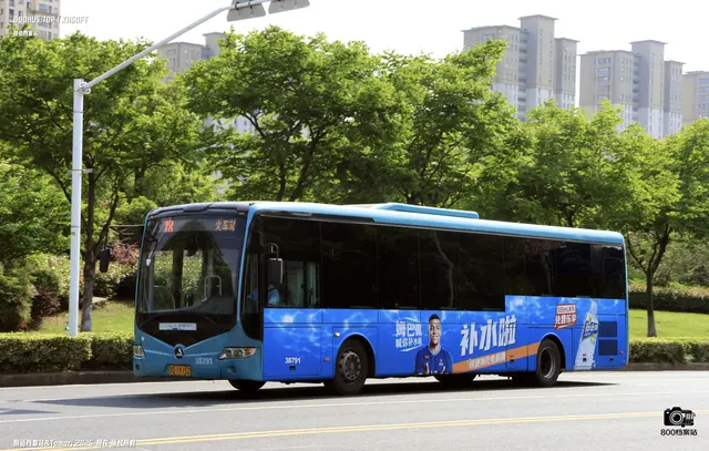 800BUS