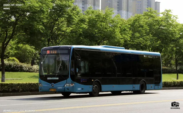 800BUS