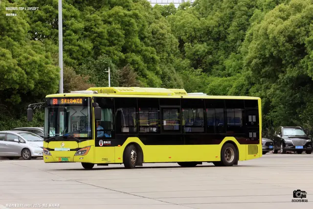 800BUS