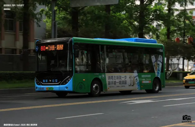 800BUS