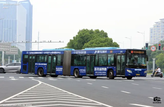 800BUS
