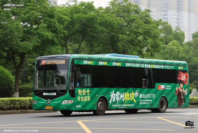 800BUS