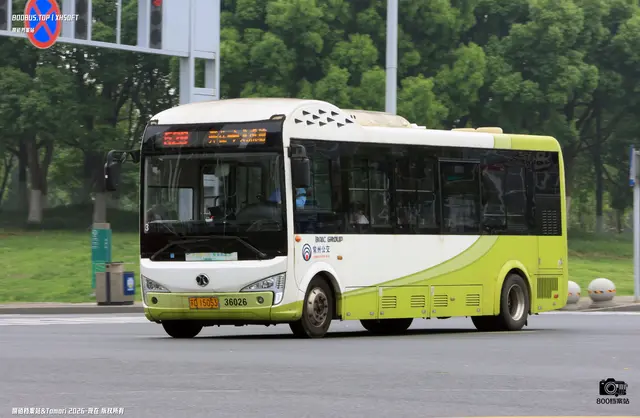800BUS