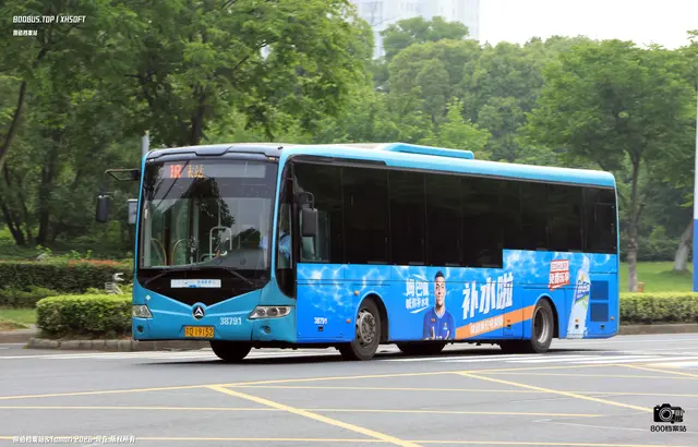 800BUS