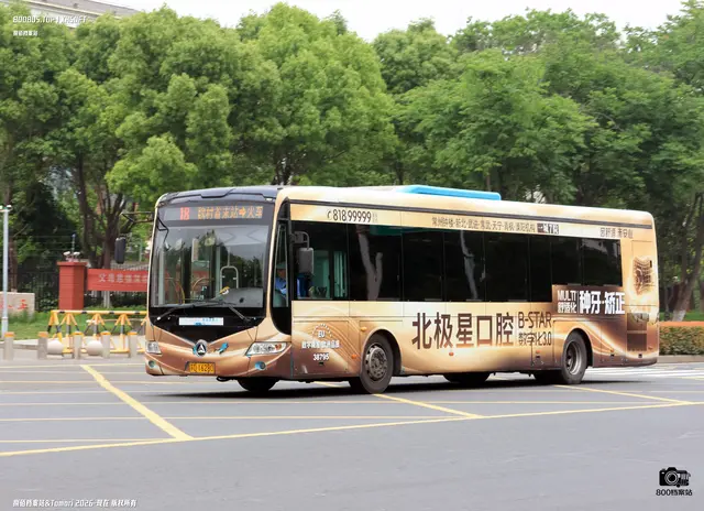 800BUS