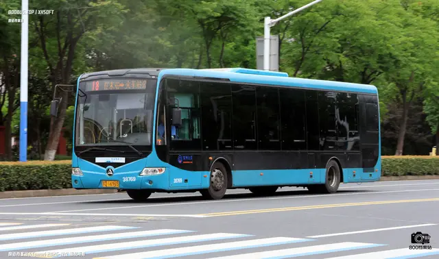 800BUS