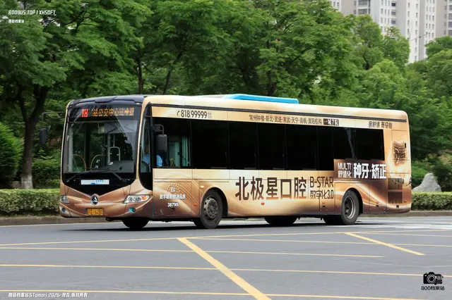 800BUS