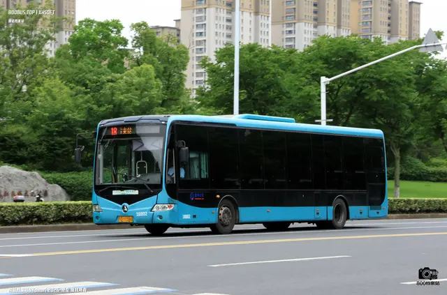 800BUS