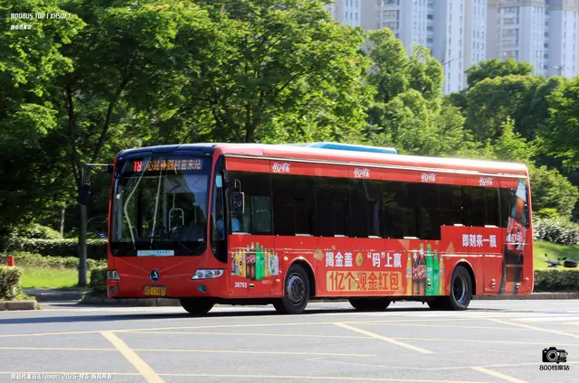 800BUS
