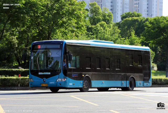 800BUS