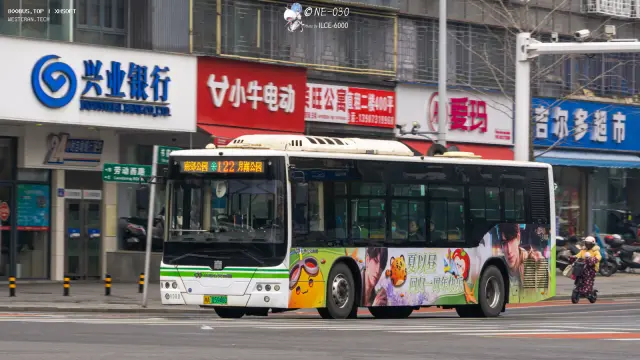 800BUS