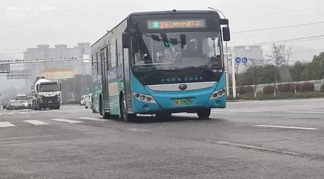 800BUS