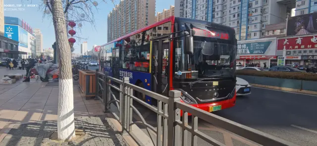 辽B·08239D