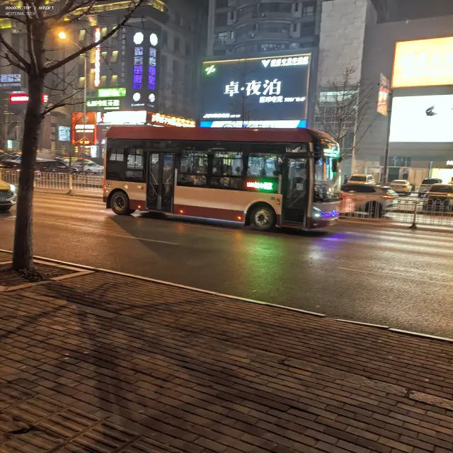800BUS