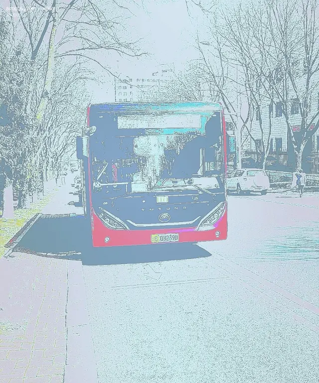辽B 08239D