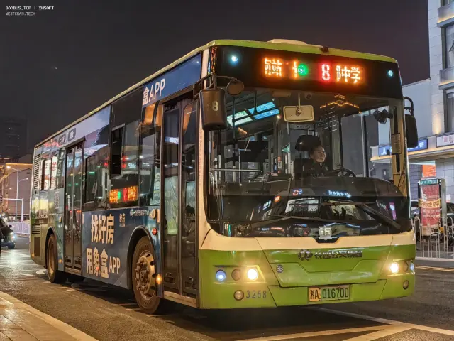 800BUS