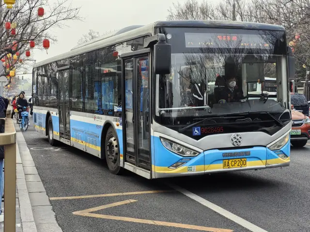 800BUS