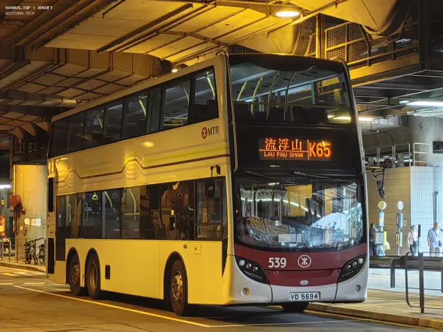 800BUS
