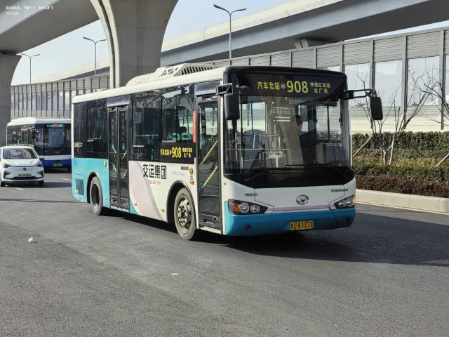 800BUS