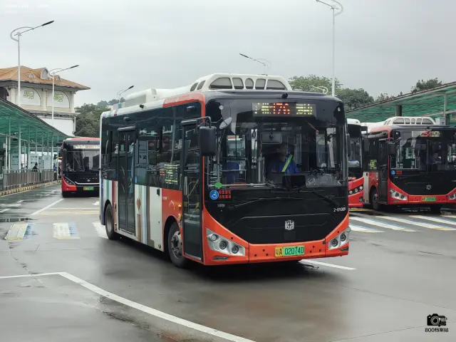 800BUS