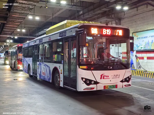 800BUS