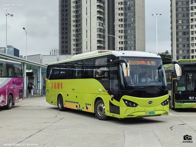 800BUS