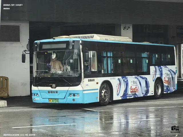 800BUS