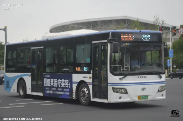 800BUS
