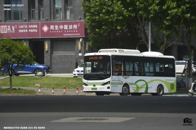 800BUS