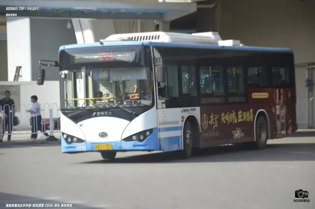 800BUS