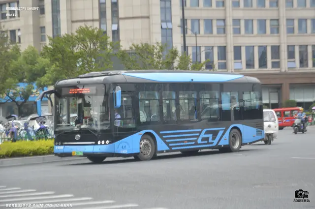 800BUS