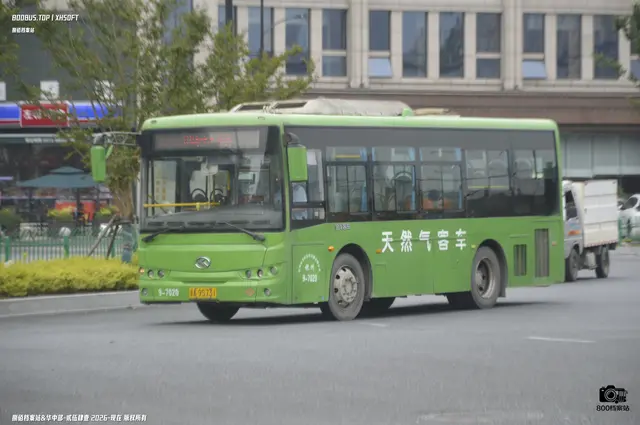 800BUS