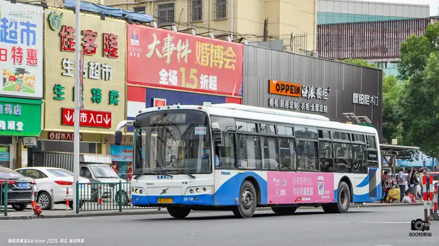 800BUS