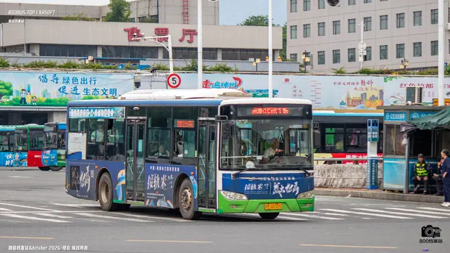 800BUS