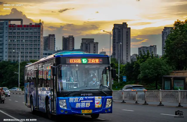800BUS