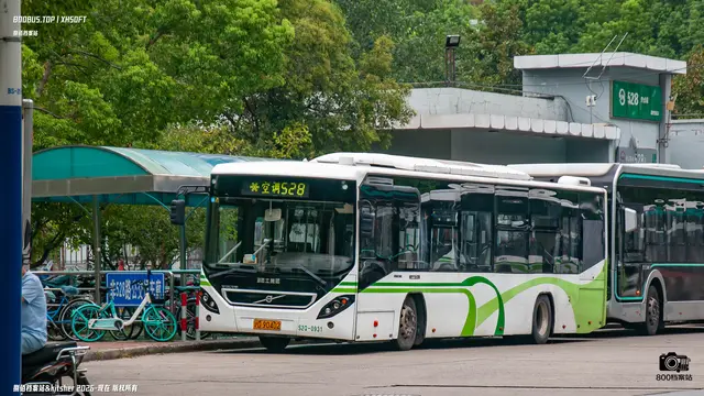800BUS