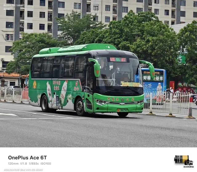 800BUS